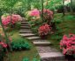 Brilliant Traditional Japanese Garden Design Ideas