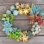 Perfect Succulent Wreath Design with Natural Floral Decoration in Small Shaped for Home Inspiration