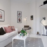 Perfect Swedish One Room Apartment Design Interior in Living Space Decorated with Traditional White Sofa Furniture Ideas