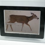 Digital Photo Frame With Picture
