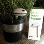 Koubachi Wi-fi Plant Sensor