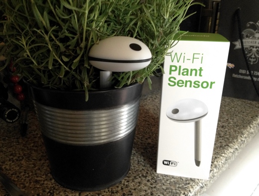 Koubachi Wi-fi Plant Sensor
