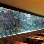 In-Wall Mirage Aquarium