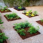 Innovative Urban Vegetable Garden
