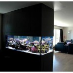 Room Divider Aquarium