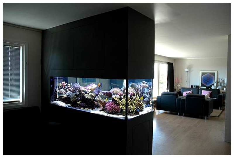 Room Divider Aquarium