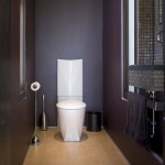 Wooden Material Design Idea Applied in Toilet Space Equipped with Creative Elongated Toilet Seat Covers Combined with Black Wall