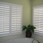 Delectable Green Painted Wall Suited for Bright Interior Window Shutters Design at Bathroom Image