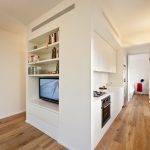 Masterful Small Studio Apartment Interior Concept Showing Long Corridor and Sleek Island also Tv Cabinet