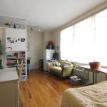 Natty Small Studio Apartment Displaying Wooden Desk Vicinity Couch and Cabinet Placement