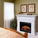 Prepossessing Bed Close to White Electric Fireplace and Planter at Traditional Home Interior Picture