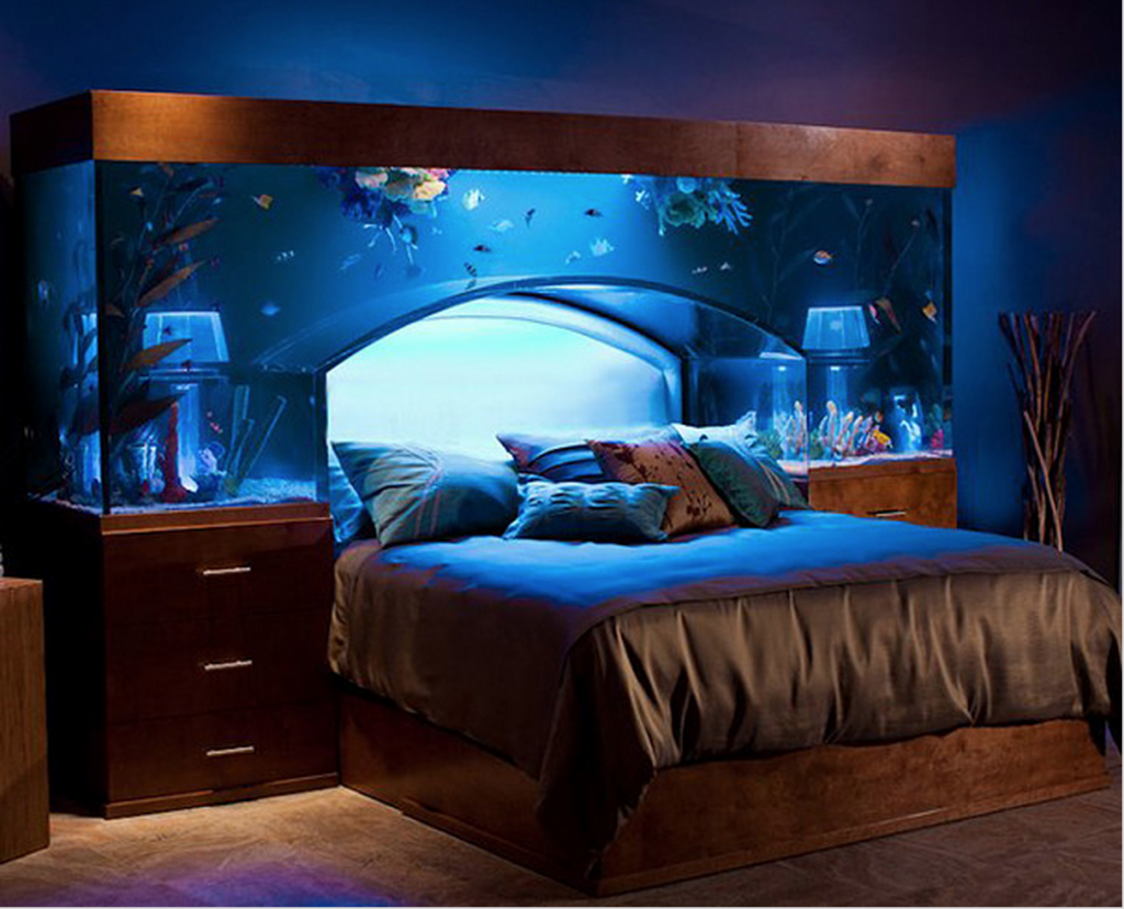 Unique Aquarium Detail above Wooden Bed in Fabulous Bedroom Dream Home Ideas with Blue Wall