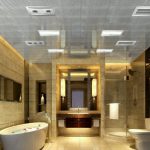 Alluring Ceiling near  Brown Ceramic Wall in Classic Luxury Bathrooms with Cute Bathub