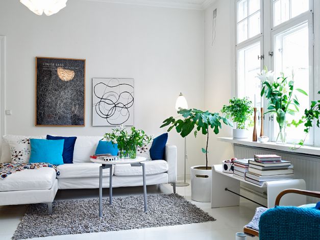 Fresh Pure Furniture Romantic Living Room Ideas with Blue Accessory and Green Indoor Plant