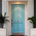 Lovely Blue Front Door Color Ideas with  Fresh Indoor Plant in White Flowerpot
