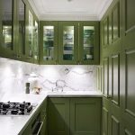 Contemporary Room with Green Kitchen cabinet Color Ideas also Best Countertop and Marble Backsplash