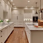 Hunky Kitchen Cabinet Color Ideas with Cool Knobs Style also Granite Countertop plus Ceiling Lamps