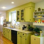 Sumptuous Glass and Green Wooden Kitchen Cabinet Door Ideas with Black Knobs also Lavish Countertop