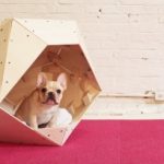 unusual dog houses