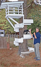 tree house for dog