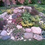 Small Rock Garden Idea
