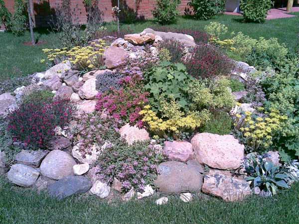 Small Rock Garden Idea
