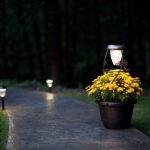 solar-powered-outdoor-lights